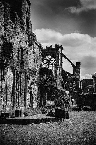 Auberge De L'Abbaye Thuin Exteriér fotografie